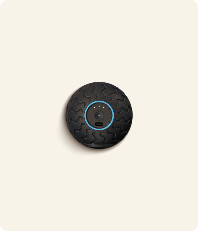 WaveSolo Refurbished
